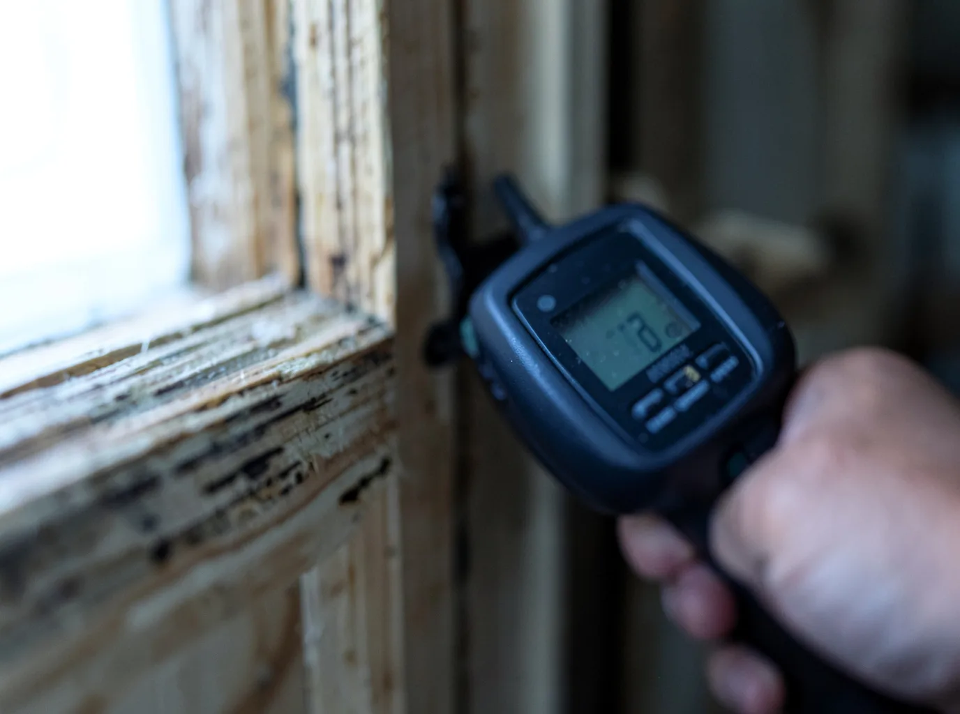 Moisture Inspection And Documentation in Williamston, NC